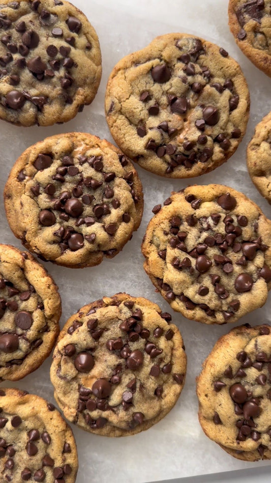 Chocolatey Chip🍪